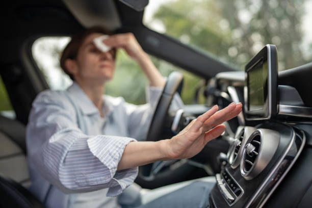 Best Affordable Air Conditioning Repair  in Howard Lake, MN